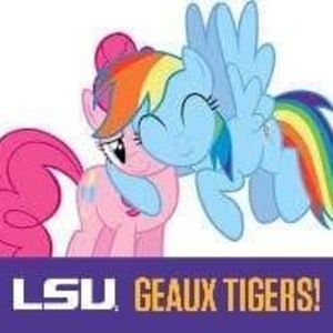 Meet your Posher, Joy